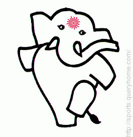An elephant named **Appu** represent the mascot in Delhi Asian Games 1982