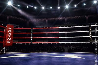 What size is a standard professional boxing ring?